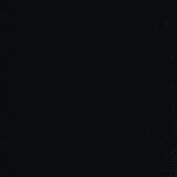𝕏