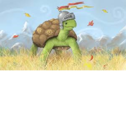 Turtle Meeting Grounds