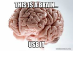 Bedwars Brain Clan