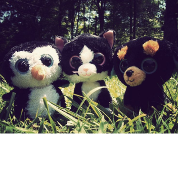 Server for my Friends