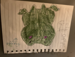 FROGGIES FOR LIFE! [HELLO!]