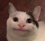 Halved UGC
