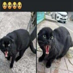 TrashPost