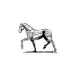 Star Stable Players OFFICAL