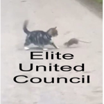 Elite United Council