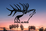 Polaris Development | BETA