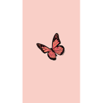 Bᴜᴛᴛᴇʀғʟɪᴇs sǫᴜᴀᴅ