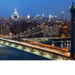 New York's Best Robloxians
