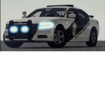 WASHINGON POLICE