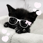 ‘ pearla