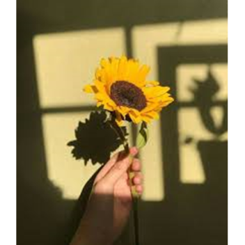 𝙰𝚗𝚐𝚎𝚕𝚜