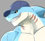 Sharks in Suits!