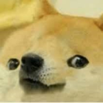 Imnotkingdoge and the bois