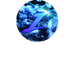 Infected gamer group