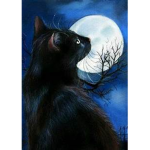 Midnight Cats <3