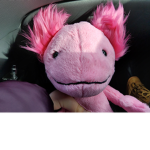 Thee axolotl club!!!