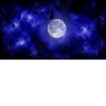 The Midnight Madness