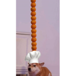 Shiba Science