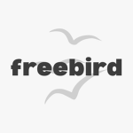 freebird. bloxburg airports.