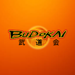 Budokai Studios Group Thumbnail