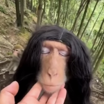 Chillprople
