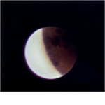 The Lunar Clan