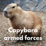 Capybara armed forces