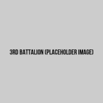 3rd Vauhgrey/Grenland Battalion (Airship Assault)