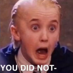 Harry Potter and Draco Fan Club