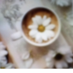 Aesthetic….Daisies