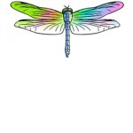 lazy dragonfly studios