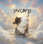 vixcorp