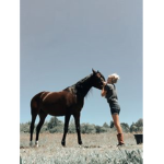 Equestrian tips and tricks!