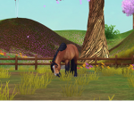 Chaotic Horse Life!