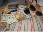 $UBST4NT1AL