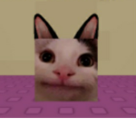 PinkRabbits