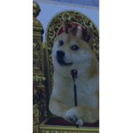 DOGZ FRIENDS