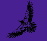 -| The Eternal Ravens |-