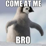 Penguins United # Penguins