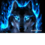 A world of wolves