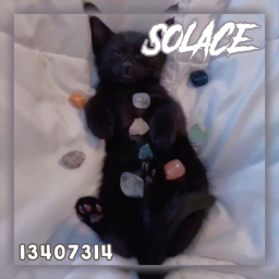 /solace