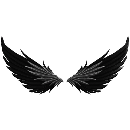 Black and Silver Wings