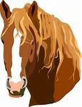 Majestic Horse Stables