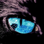 Carolina Panthers Fans