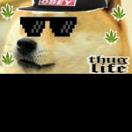 DOGE OBBY!