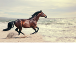 Glowing x squad