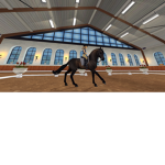 The Star Stable ######## Group
