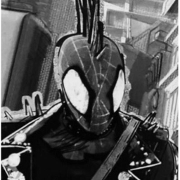 🕷️