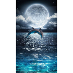 Midnight Ocean twins