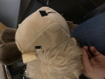 The duck’s uwu